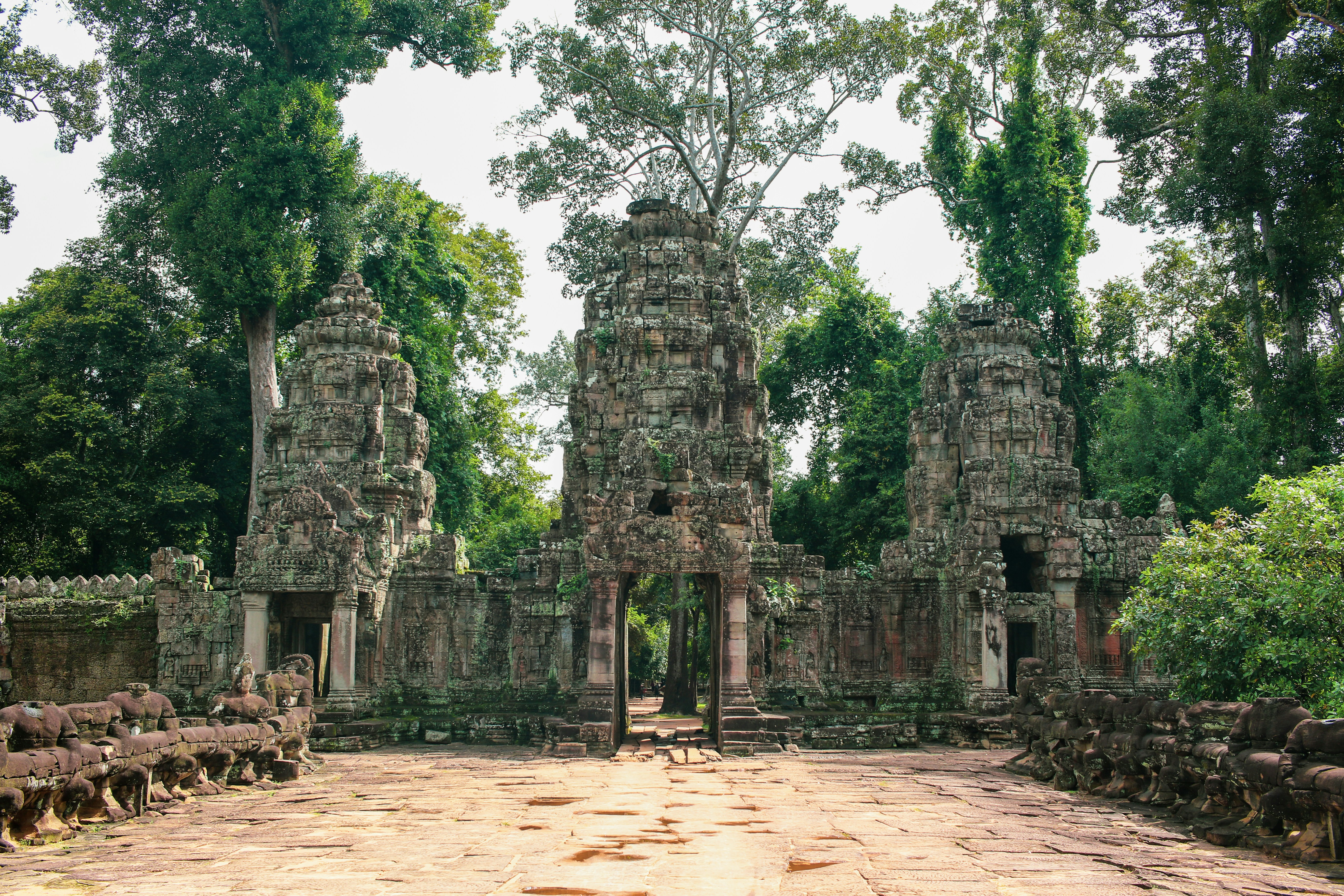 Lever de soleil sur les temples d'Angkor à Siem Reap